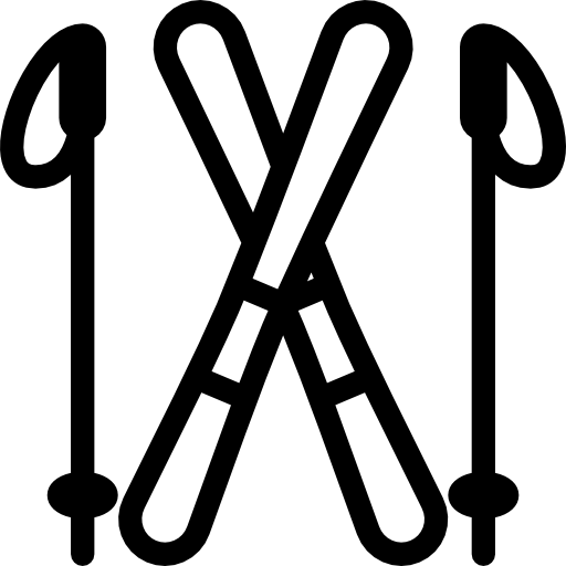 Icon of a pair of skis